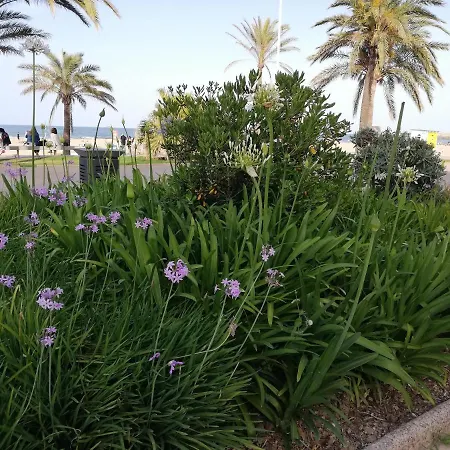 Bonaire Quinta Appartamento
